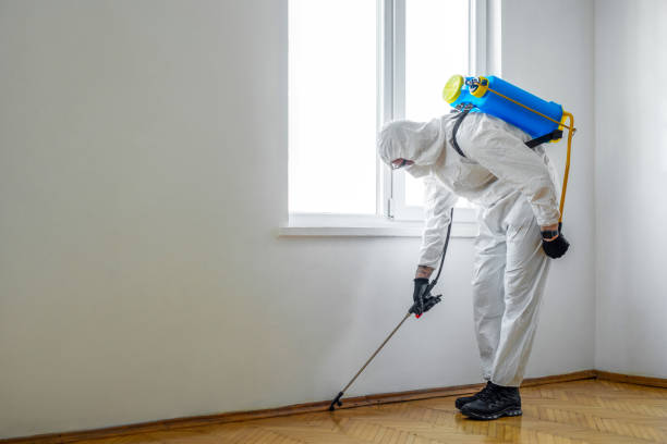 Best Residential Pest Control  in St Ann, MO