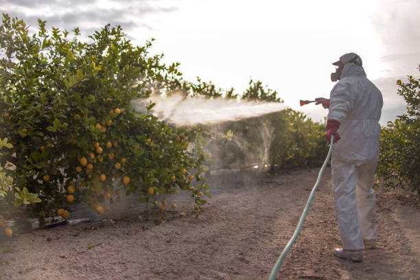 Best Wildlife Control Services  in St Ann, MO