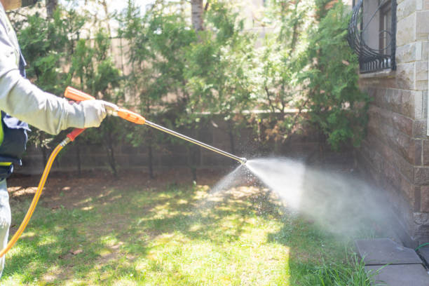 Best Termite Control Services  in St Ann, MO