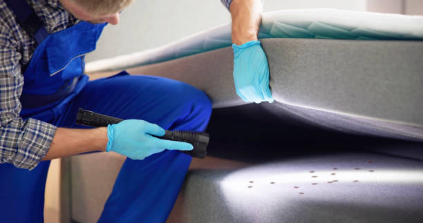 Pest Prevention Services in St Ann, MO