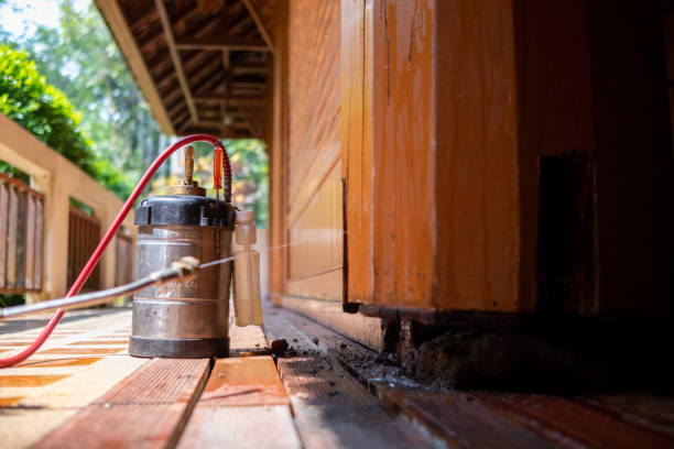 Best Residential Pest Control  in St Ann, MO