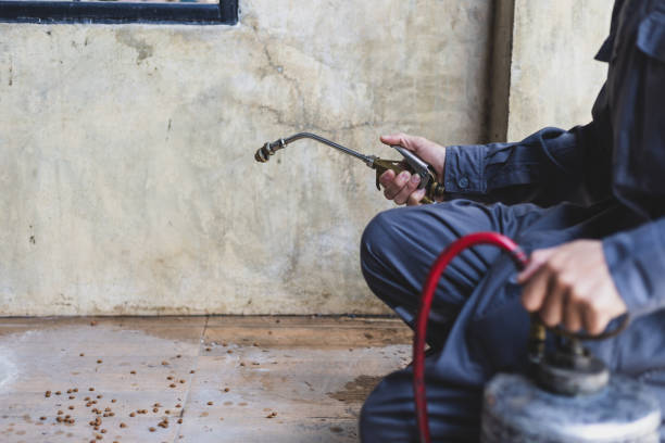 Best Affordable Pest Control Services  in St Ann, MO